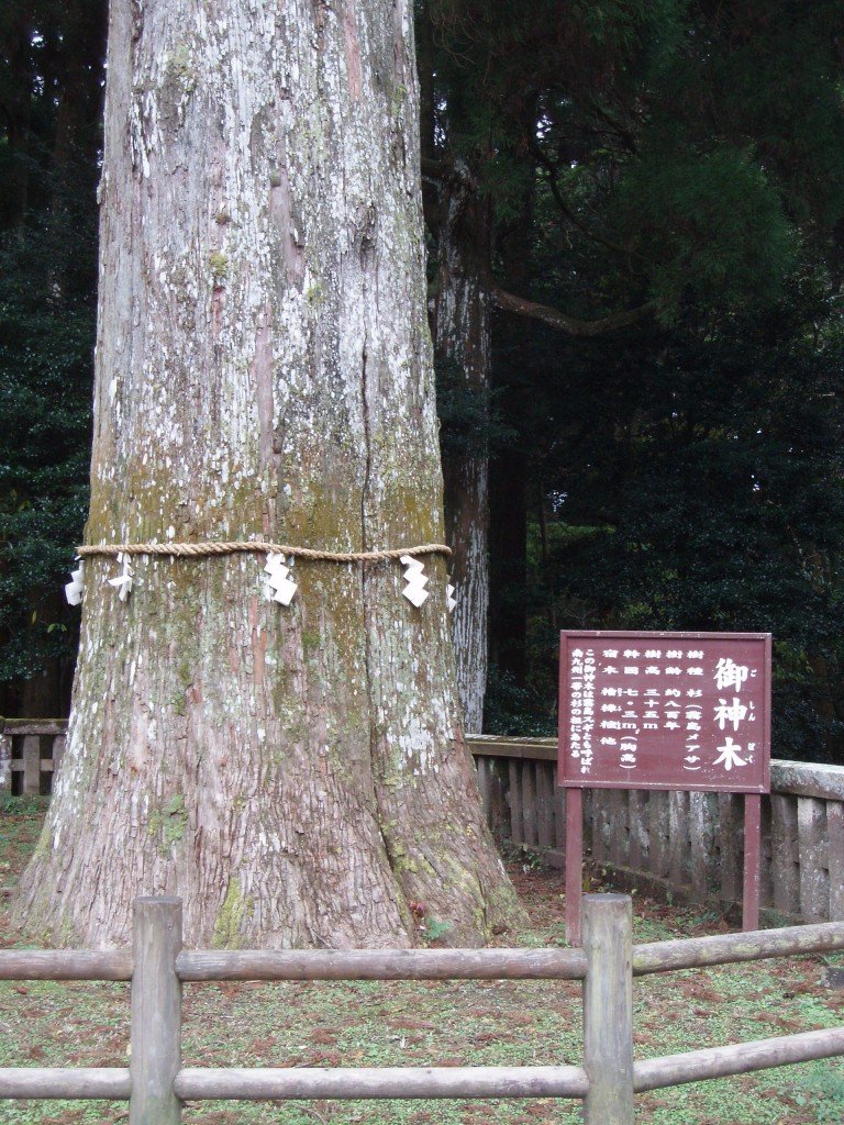 ⛩️ 스즈미가오카 하치만 신사 (스즈미가오카하치만진자) 이미지 5